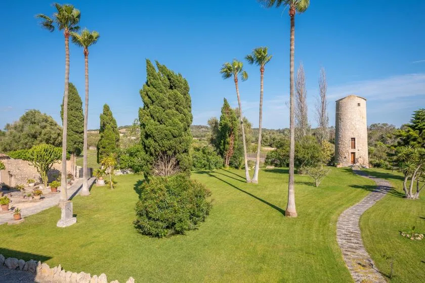 A landscaped garden with a broad green lawn, tall palm trees, and a winding stone path.
