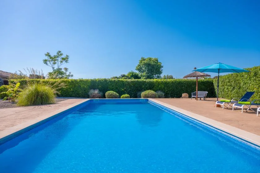 An outdoor swimming pool is surrounded by a paved patio and garden hedges.