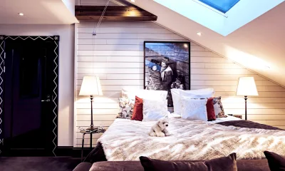 Aurora Loft