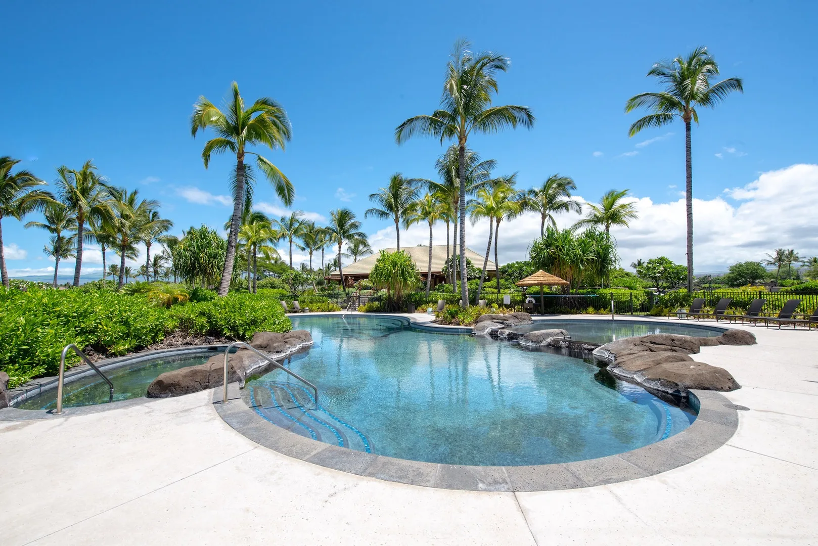 A swimming pool surrounded by palm trees and landscaped greenery.