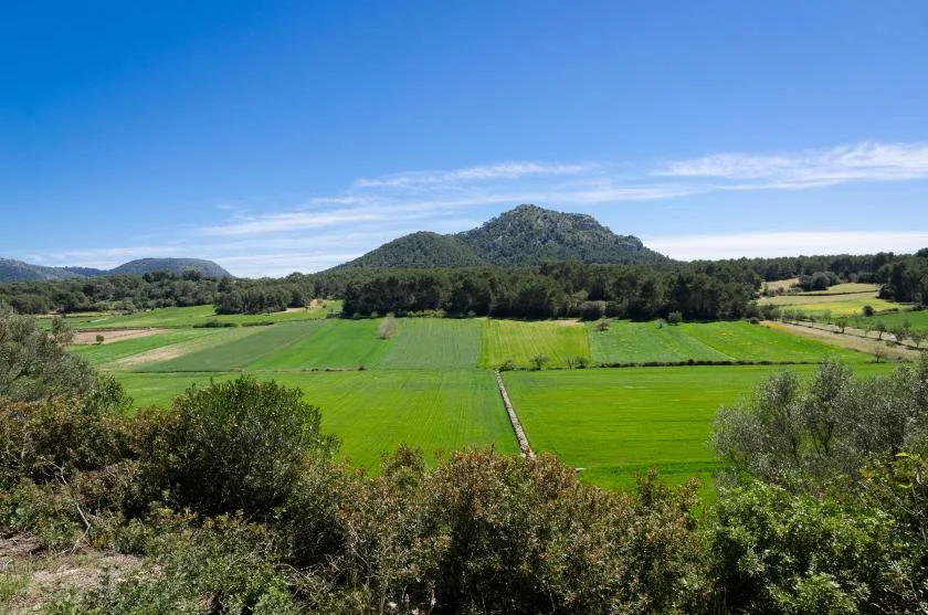 Green fields stretch toward a wooded hill beneath a clear blue sky.