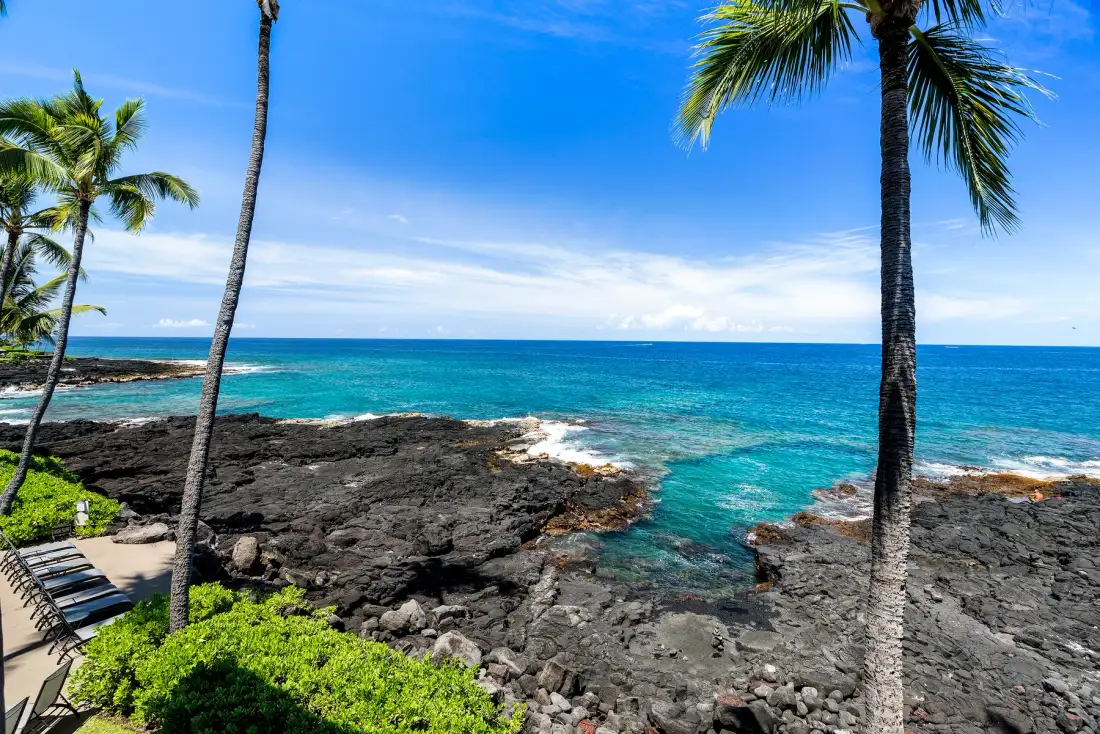 Una costa tropical con palmeras y roca volcánica oscura junto al agua.