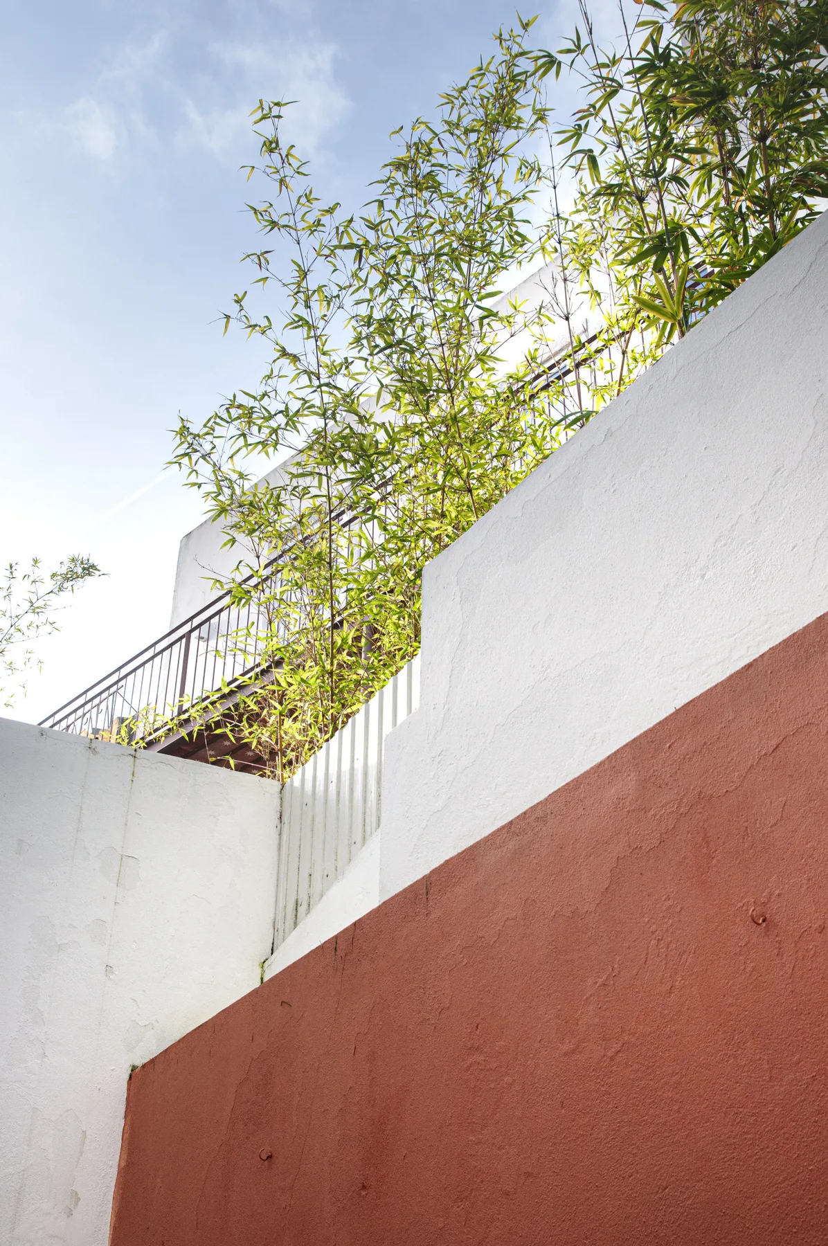 A sunlit terrace bordered by white and terracotta walls, with leafy branches overhead.
