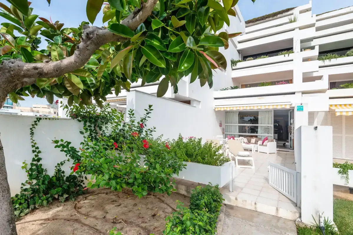 Un edificio blanco de apartamentos da a un patio pavimentado rodeado de plantas.