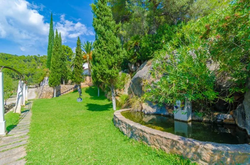 Un jardín ajardinado con un estanque de borde curvo de piedra y árboles frondosos.