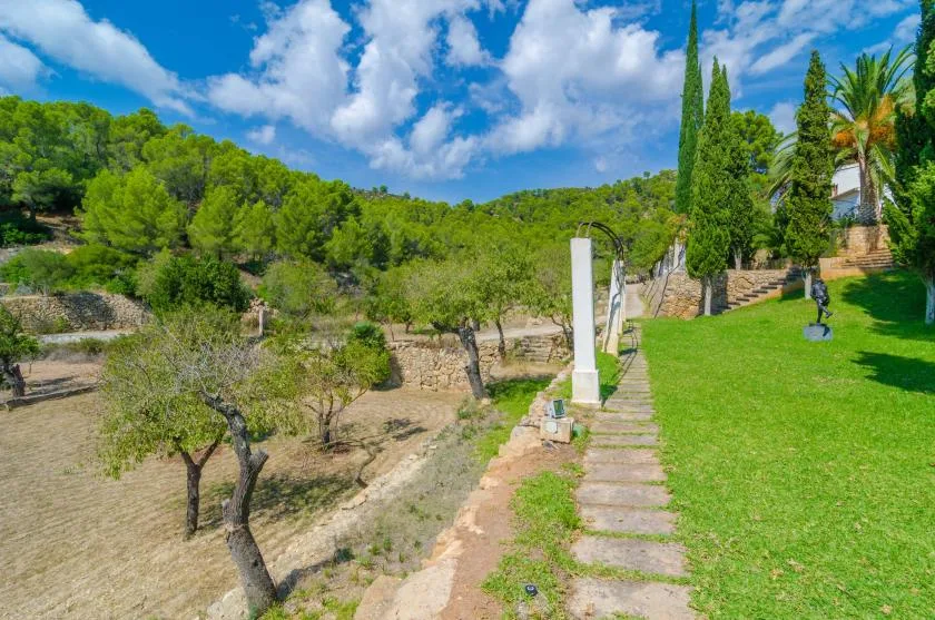 Un sendero de jardín bordea un césped y árboles en terrazas.