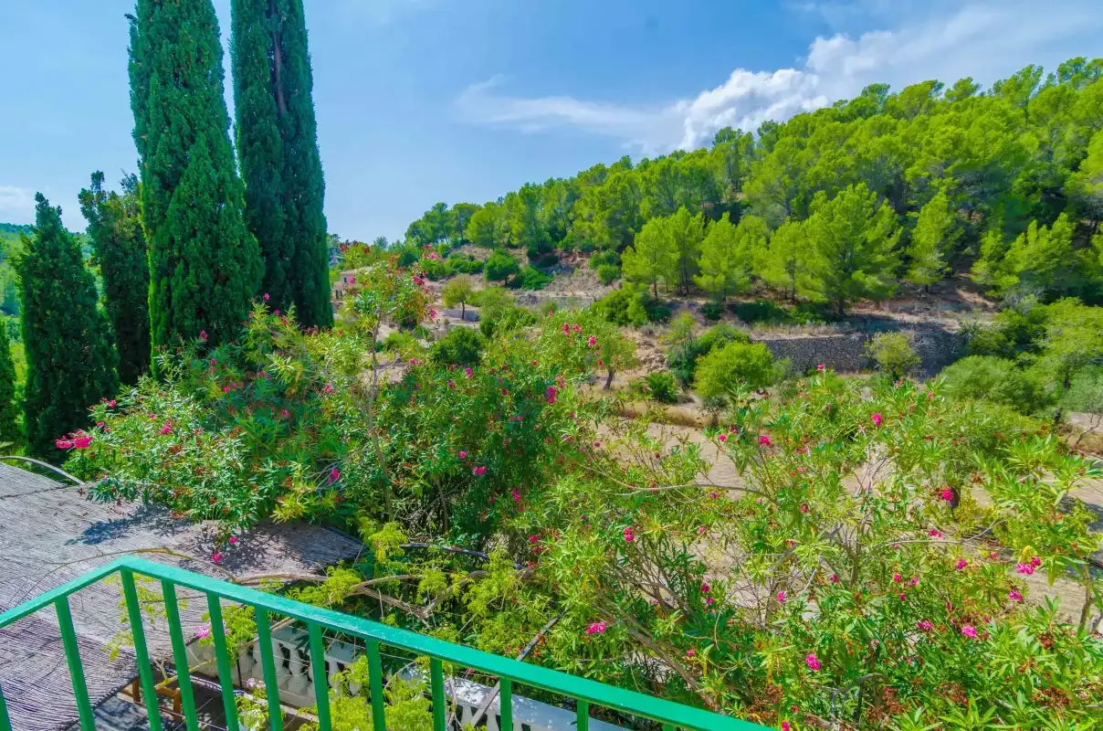Una barandilla verde del jardín da a arbustos en flor y árboles.