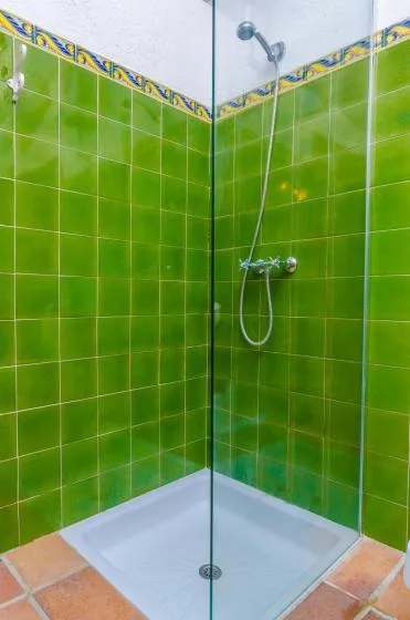 Una ducha alicatada con paredes verdes y una base de color claro.