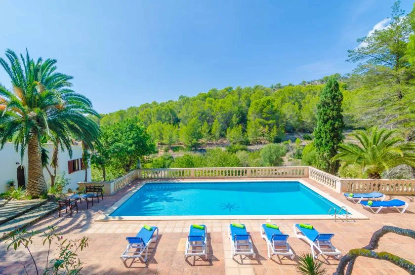 Una piscina al aire libre está junto a un patio soleado con asientos y árboles.
