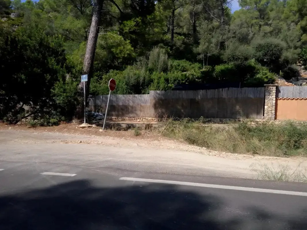 Escena junto a una carretera con un muro bajo, vegetación densa y una señal de stop.