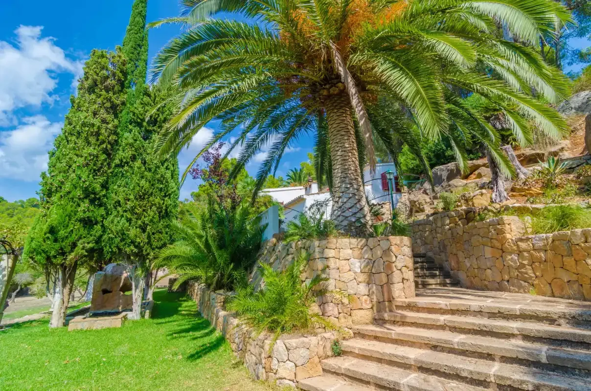 Un jardín cuidado con palmeras, césped verde y escalones de piedra.