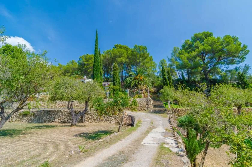 Un sendero ajardinado sube hacia los árboles y una terraza de piedra.