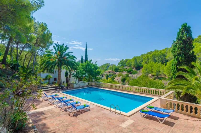 Una piscina al aire libre está en una terraza soleada rodeada de árboles.