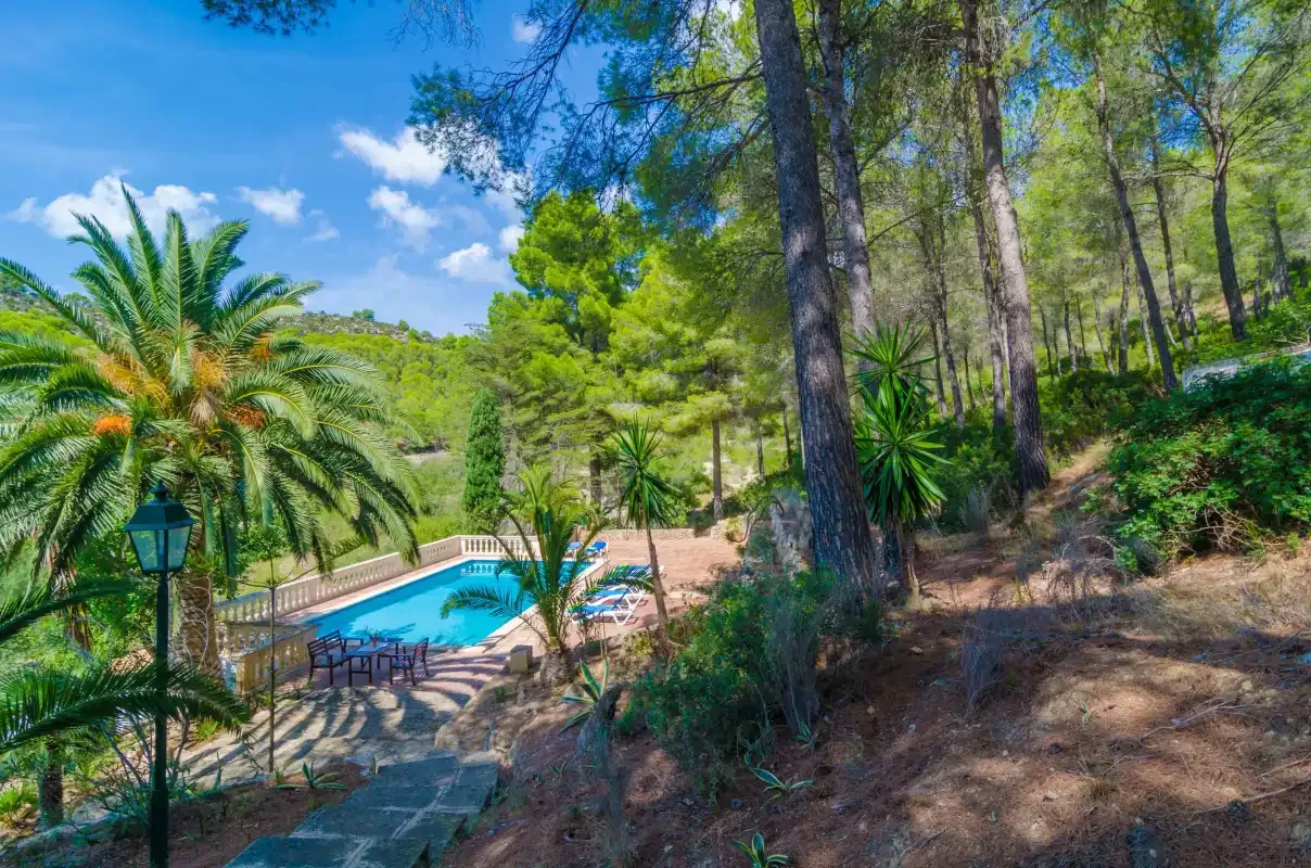 Una piscina y una terraza pavimentada están entre árboles en una ladera soleada.
