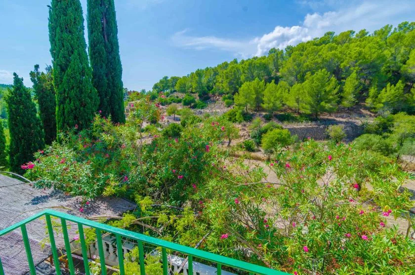 Un jardín con arbustos en flor y árboles altos se extiende hacia una ladera boscosa.
