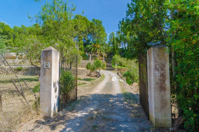 Una puerta abierta da a un camino de grava soleado entre vegetación.