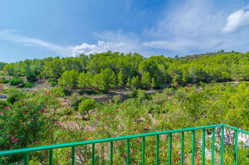 Una barandilla verde da a arbustos floridos y una ladera arbolada bajo un cielo azul.