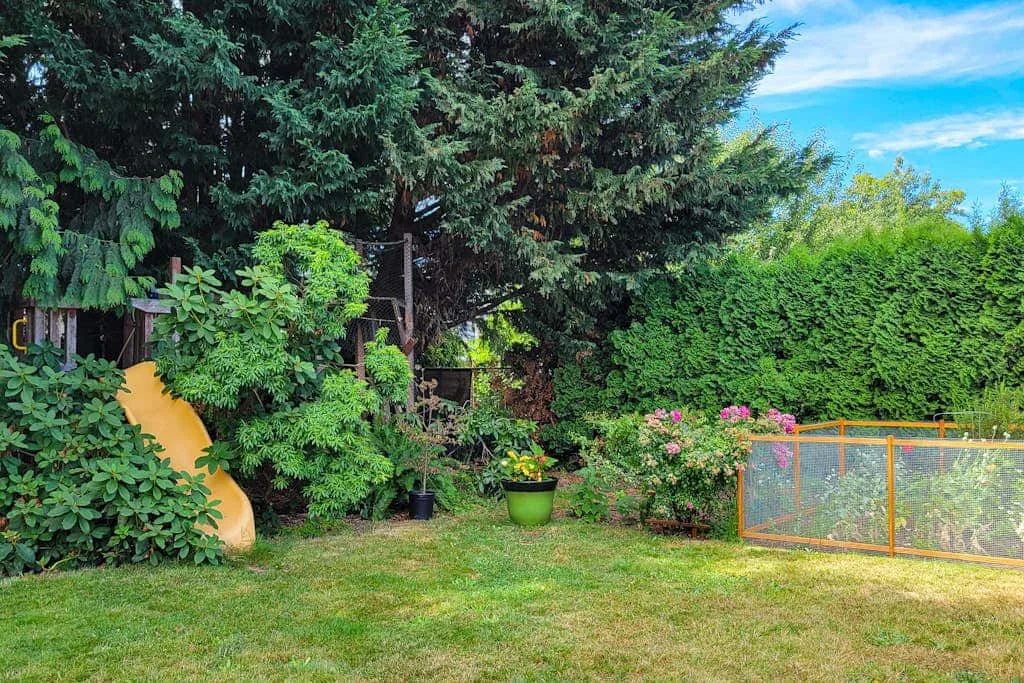 A leafy garden with a lawn, flowering shrubs, and a fenced area.