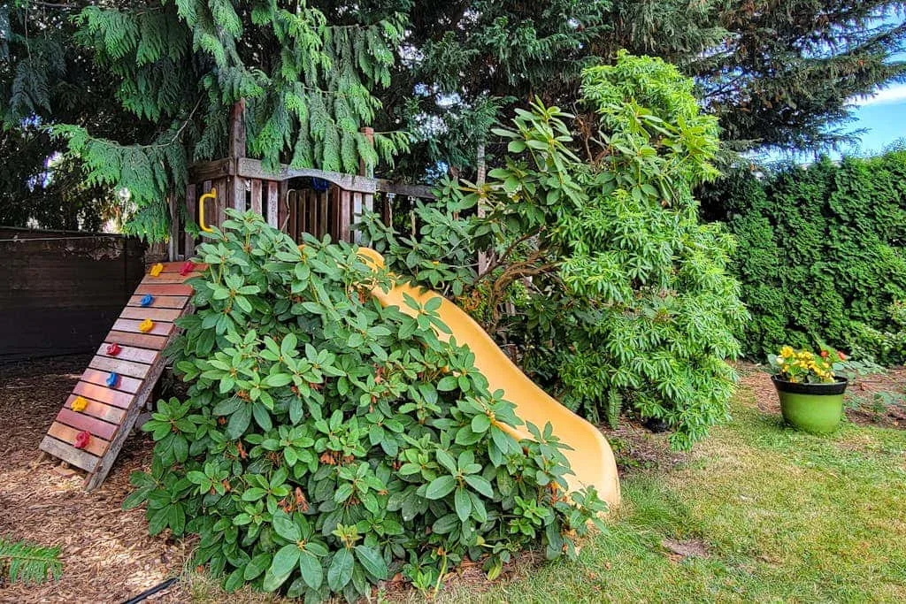 A garden play area with a wooden climbing ramp and a yellow slide among shrubs.