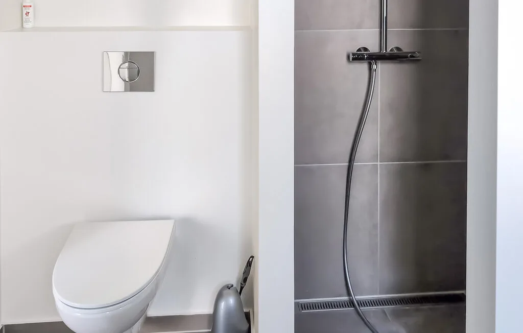 A bathroom with a toilet and a wall-mounted shower.