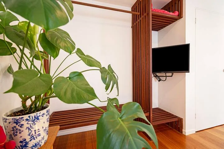 A room corner with a leafy potted plant beside a wooden TV stand.
