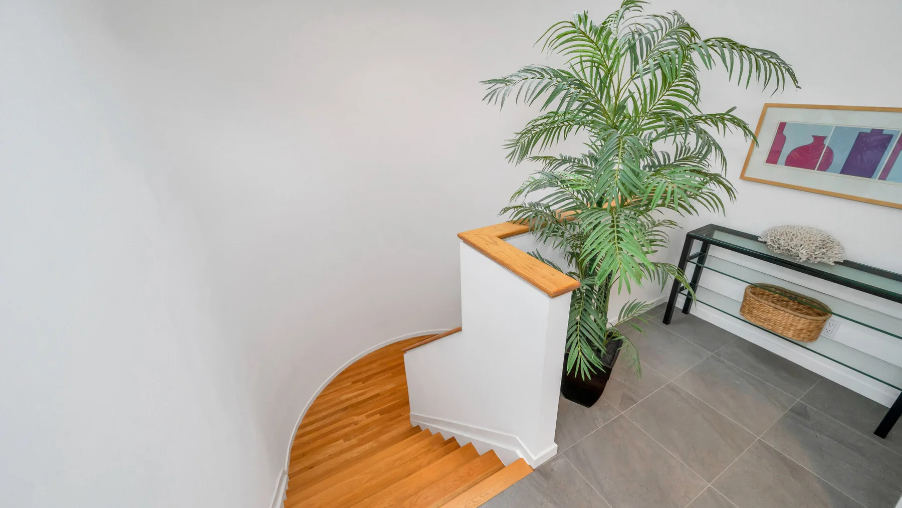 Un rellano interior con escalones de madera, una palmera en maceta y una estantería estrecha.