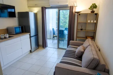 Una sala compacta con sofá gris, cocina pequeña y puertas de vidrio hacia un balcón.