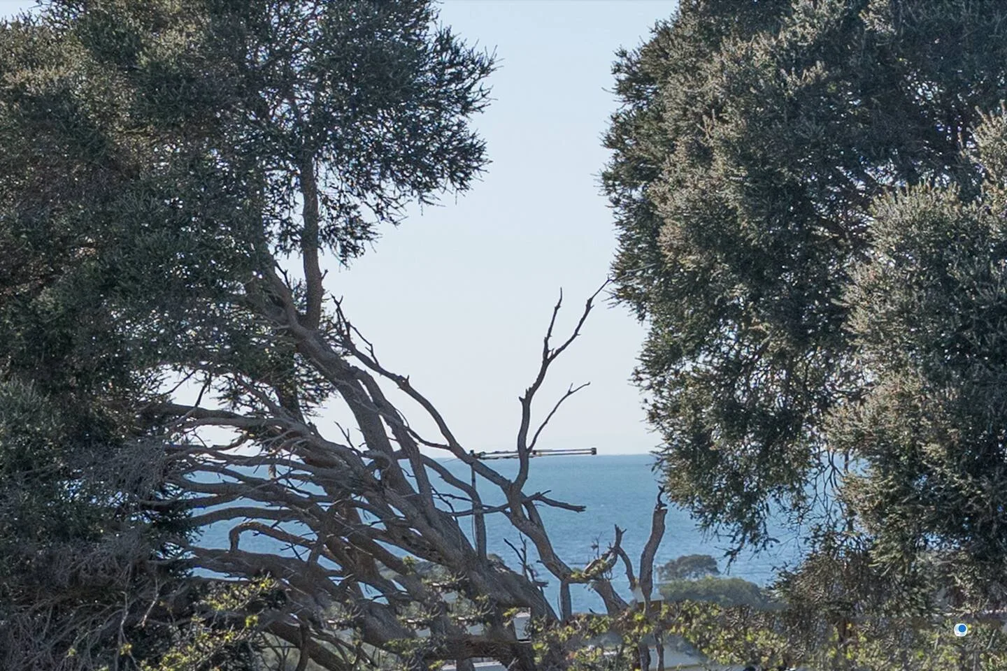 El mar se ve entre árboles frondosos bajo un cielo azul claro.