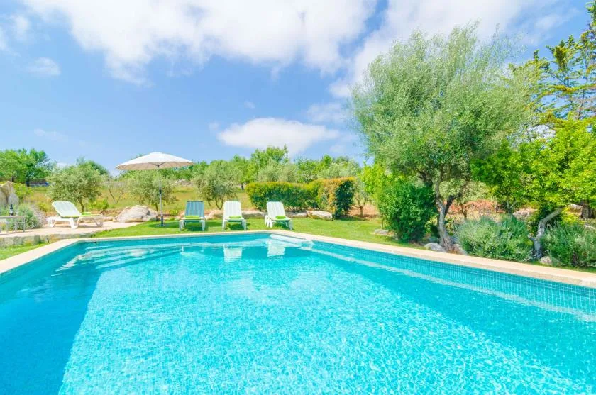 Una piscina al aire libre rodeada de vegetación y asientos de descanso.