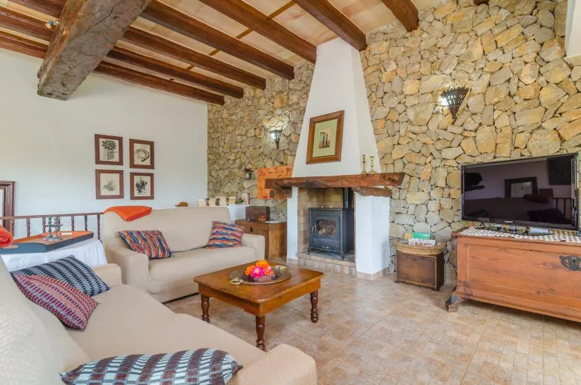 Una sala de estar con asientos, una chimenea de piedra y un televisor.