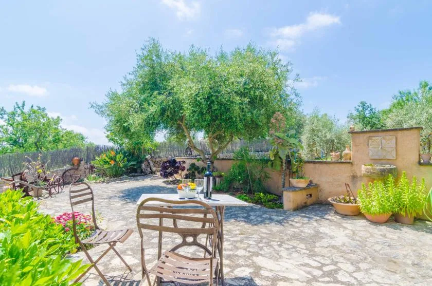 Un patio soleado tiene asientos al aire libre bajo un árbol frondoso.
