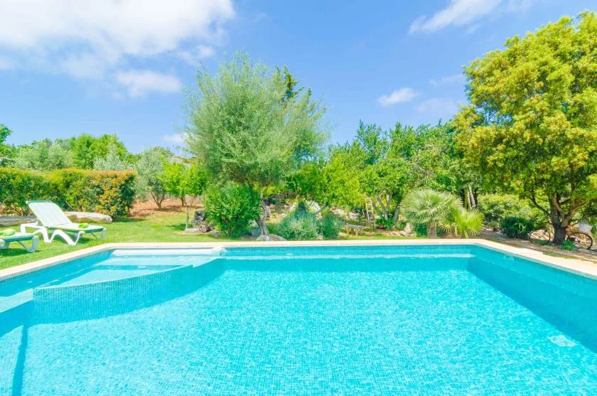 Una piscina al aire libre está rodeada de árboles verdes y plantas de jardín.