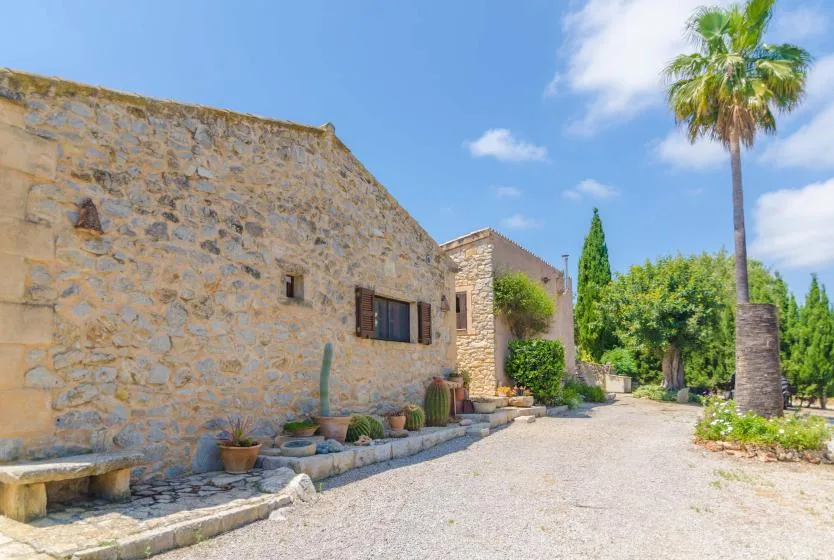 Un edificio de piedra bordea un patio soleado con una palmera y vegetación.