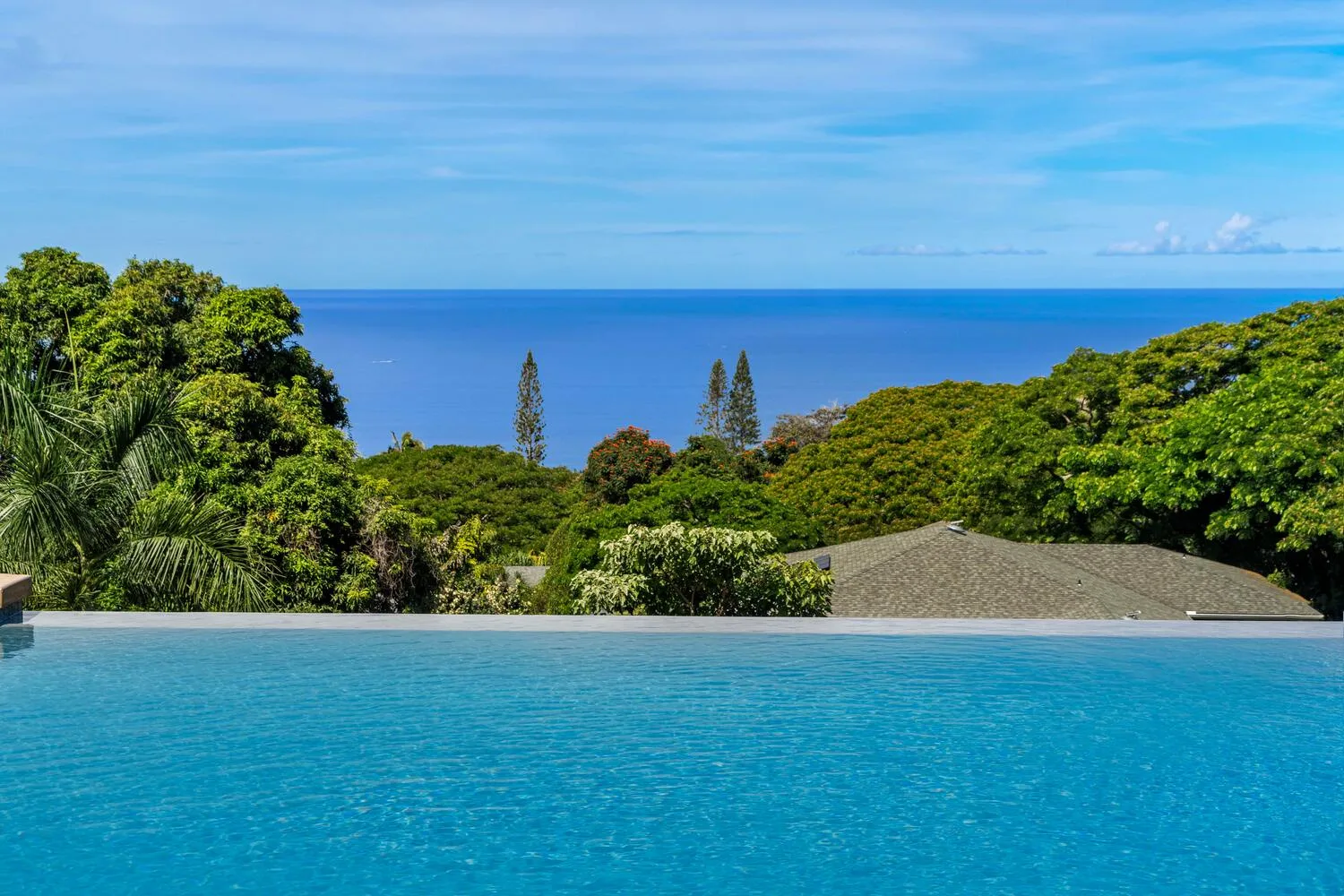Una piscina al aire libre tiene vistas a las copas verdes de los árboles y al océano.