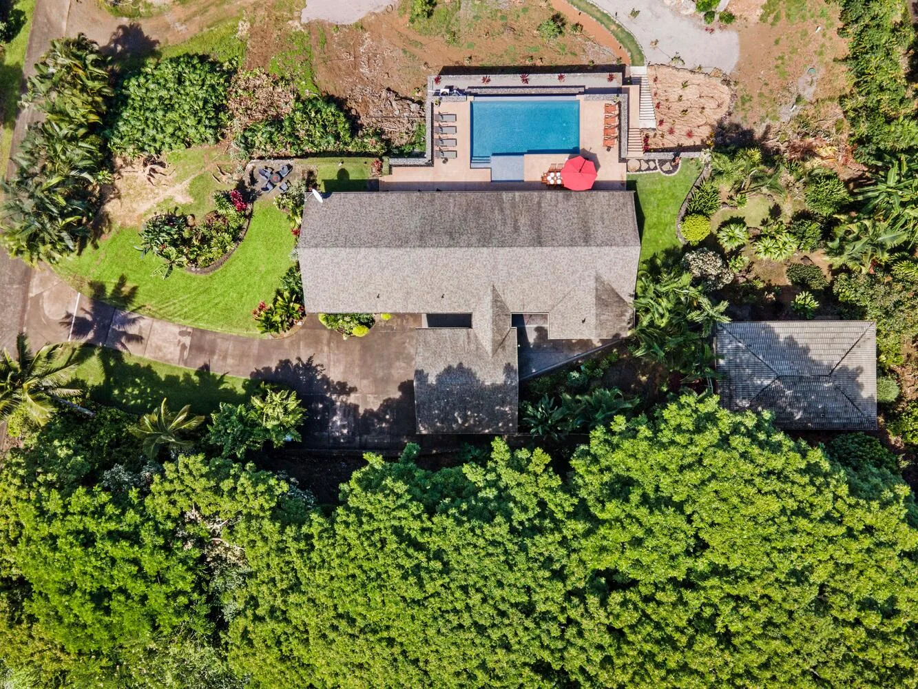 Vista aérea de una casa rodeada de vegetación densa, con una piscina.