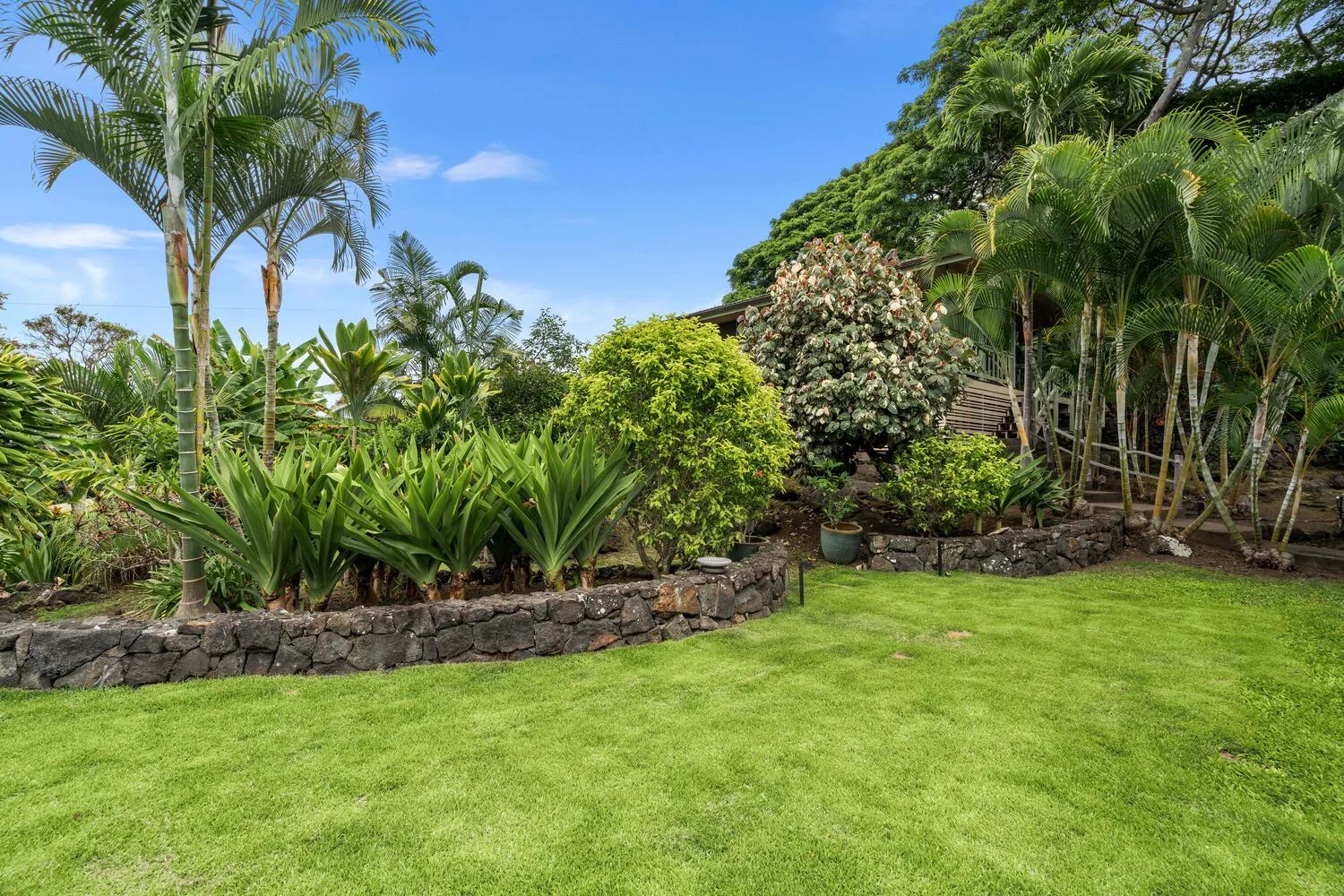 Un jardín paisajístico con césped amplio, plantas tropicales y un borde de piedra.
