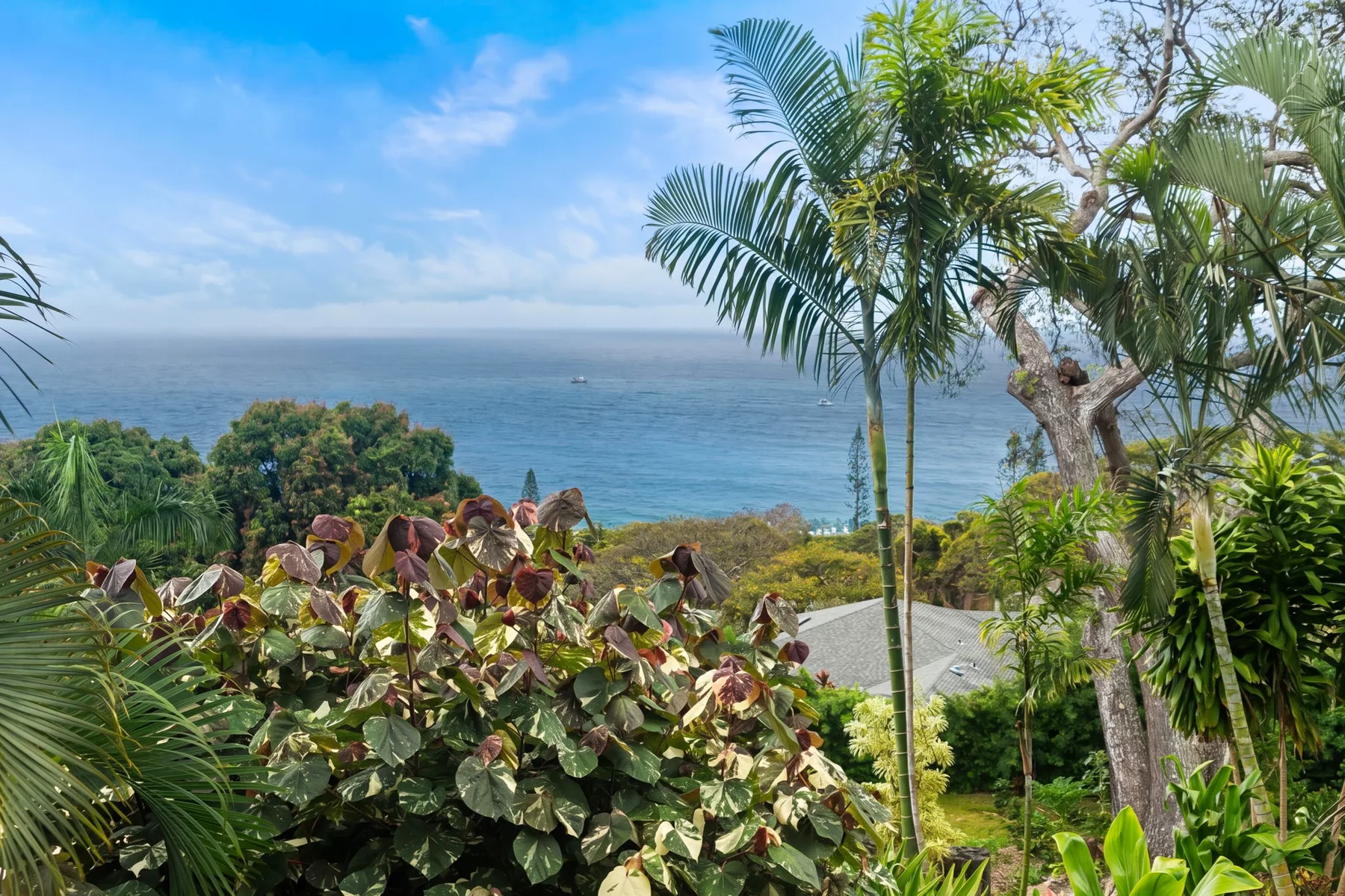 Un jardín tropical costero mira al océano, con palmeras y abundante vegetación.