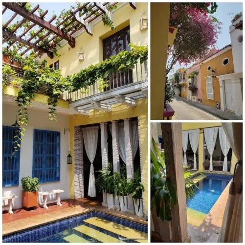 A courtyard with a small swimming pool beneath a vine-covered pergola.