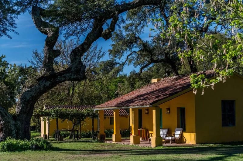 Warm 4BR House w/ Pool & Nature Views