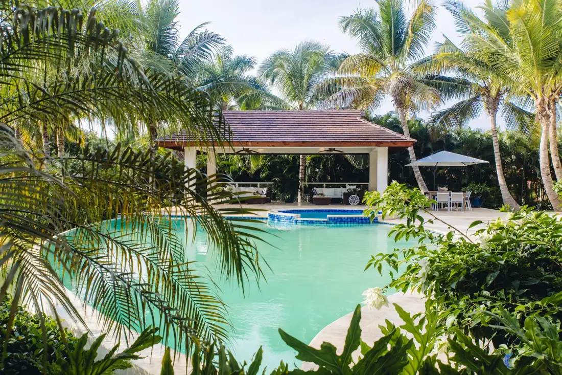 Una piscina al aire libre está rodeada de palmeras y vegetación.