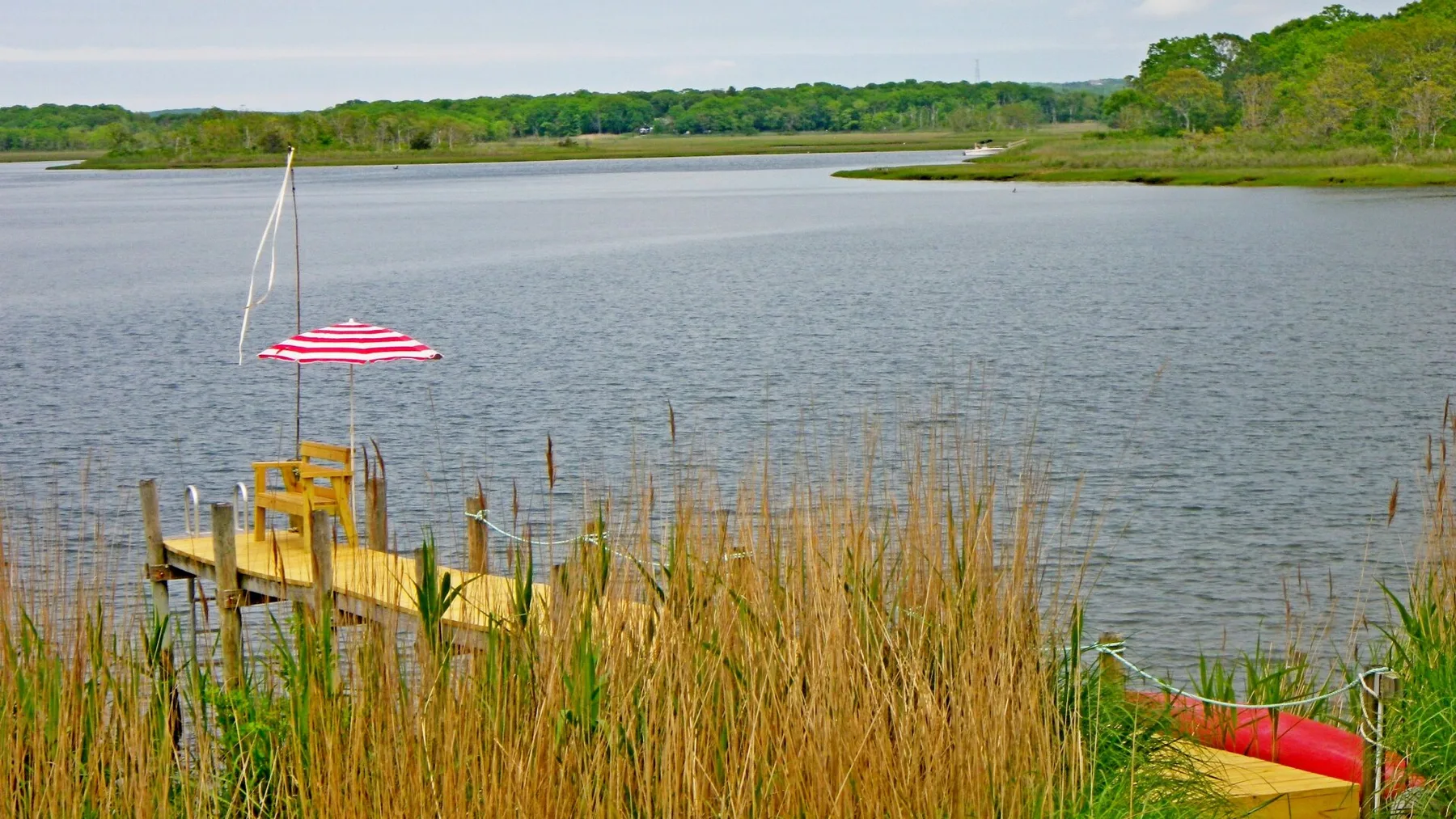 A small dock with a striped umbrella extends into a lake bordered by reeds.