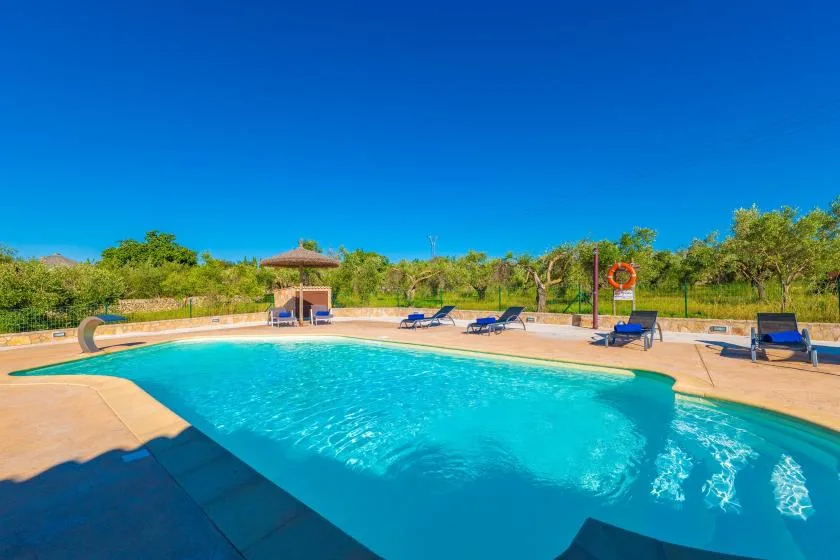 Una piscina al aire libre está rodeada por una terraza soleada y vegetación.