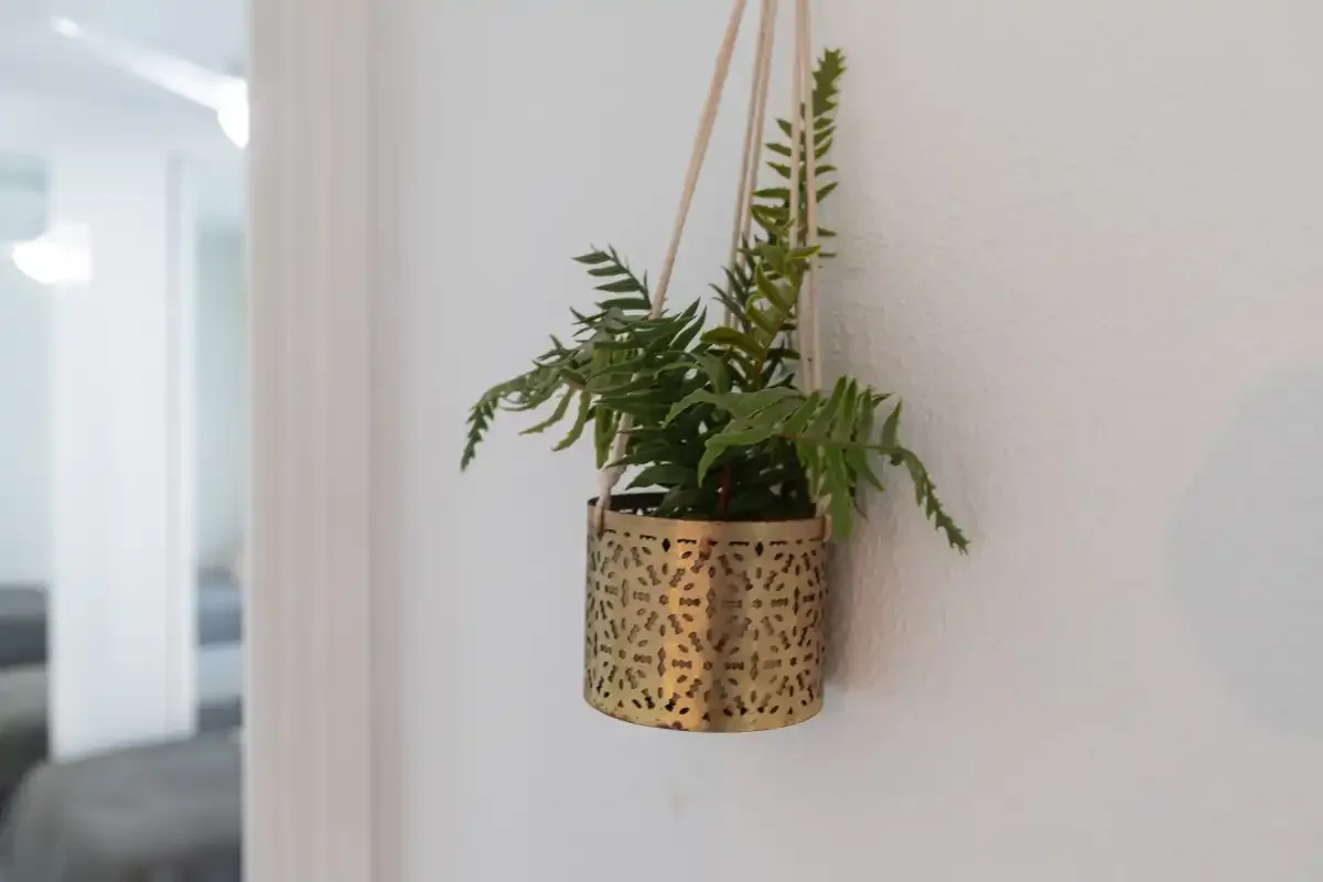 A hanging planter with leafy greenery decorates a bright interior wall.