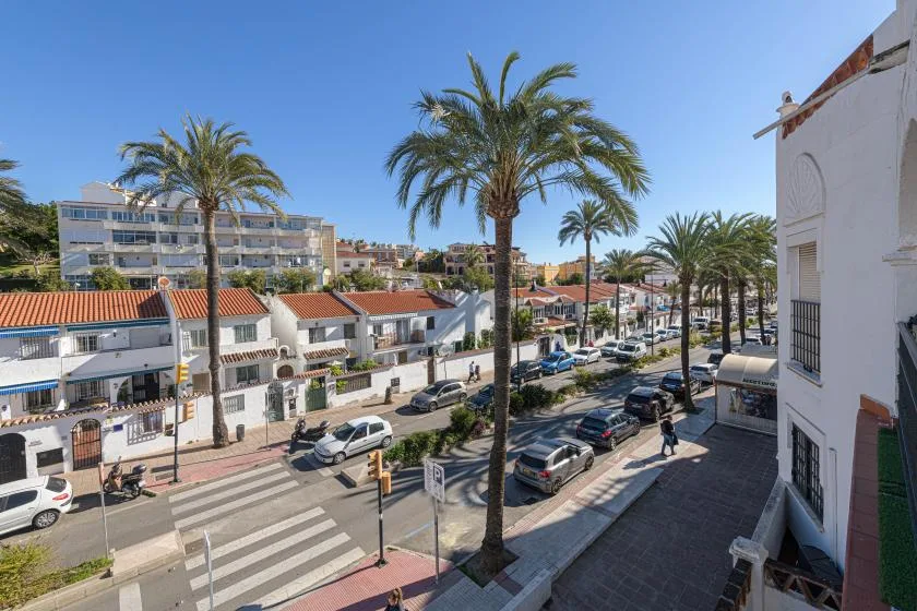 A sunny street scene with palm trees, low-rise buildings, parked cars, and a pedestrian crossing.