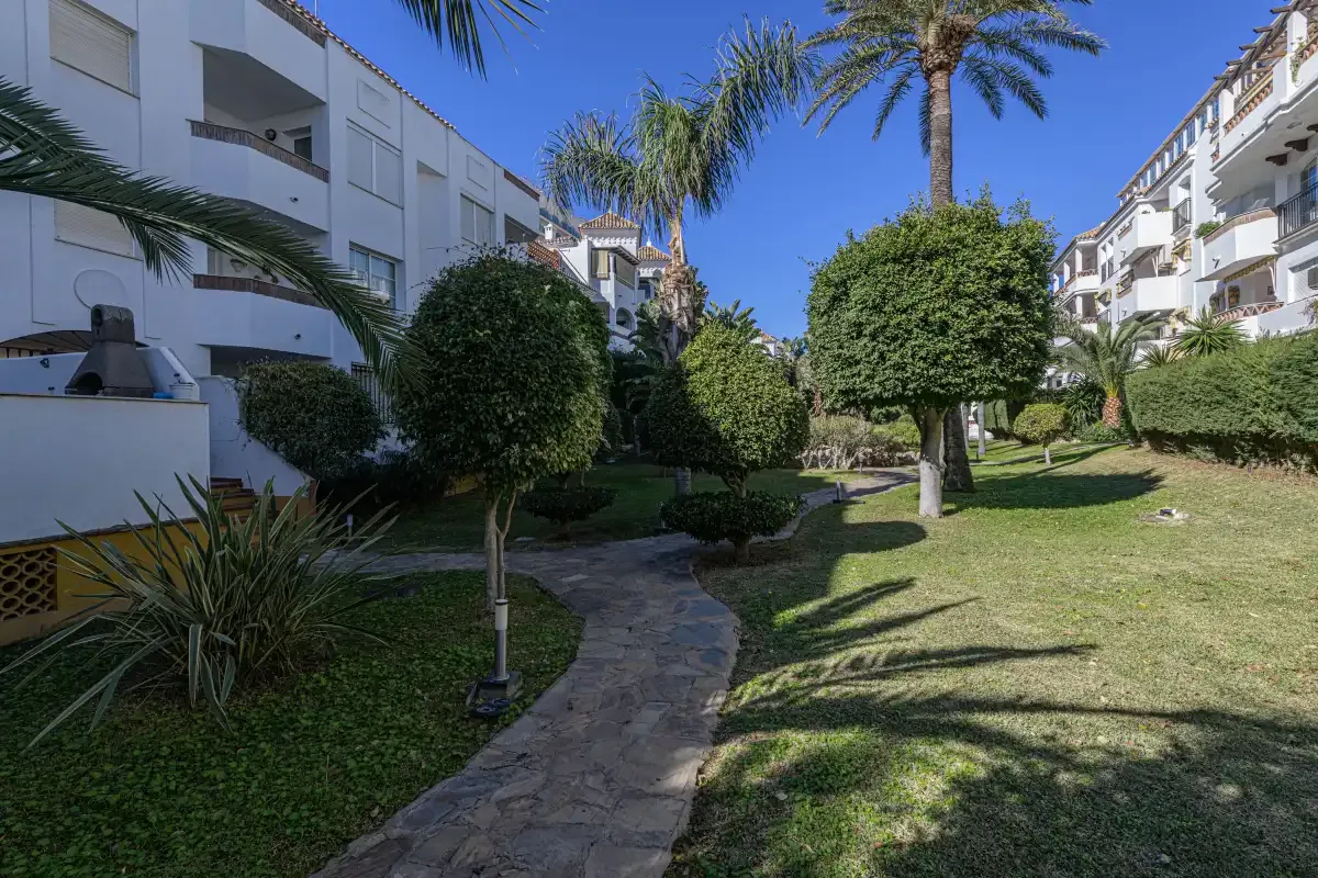 A landscaped courtyard between apartment buildings, with a stone path and palm trees.