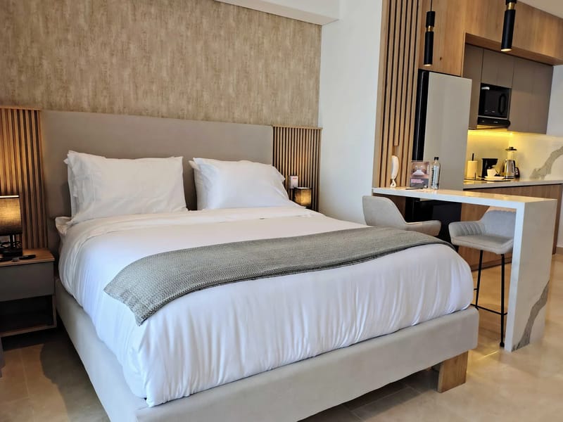 Luxurious Loft w/Balcony in Crespo
