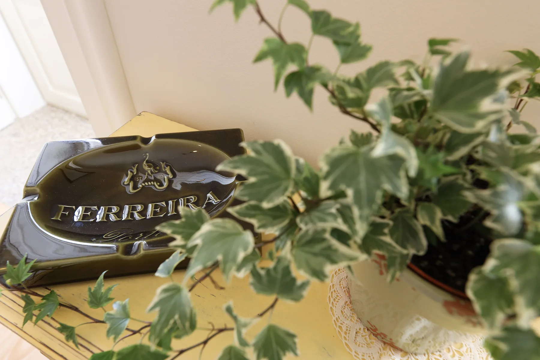 Una escena sobre una mesa con un plato decorativo junto a una planta frondosa.