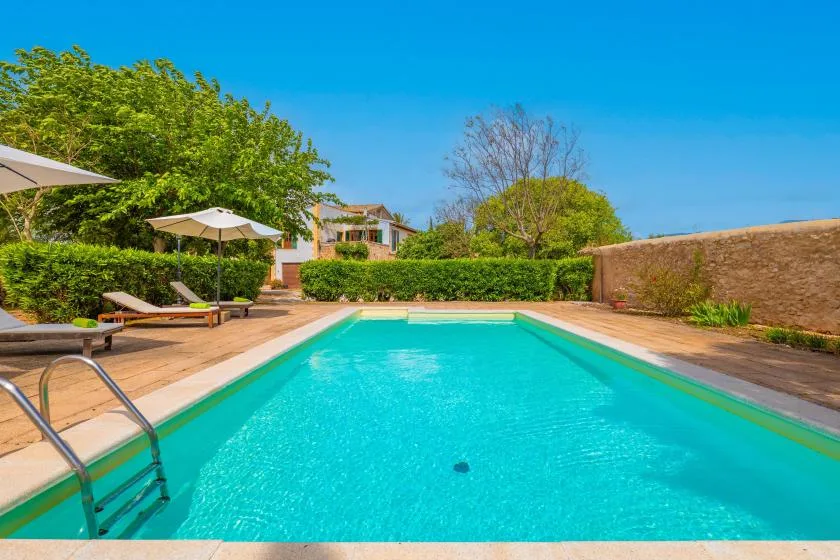 An outdoor swimming pool surrounded by greenery and lounge seating.