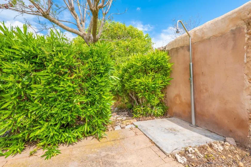 An outdoor shower area beside a stucco wall, surrounded by dense green shrubs.