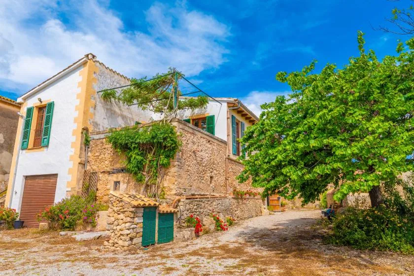 A rustic stone house stands beside a leafy tree along a sunny lane.